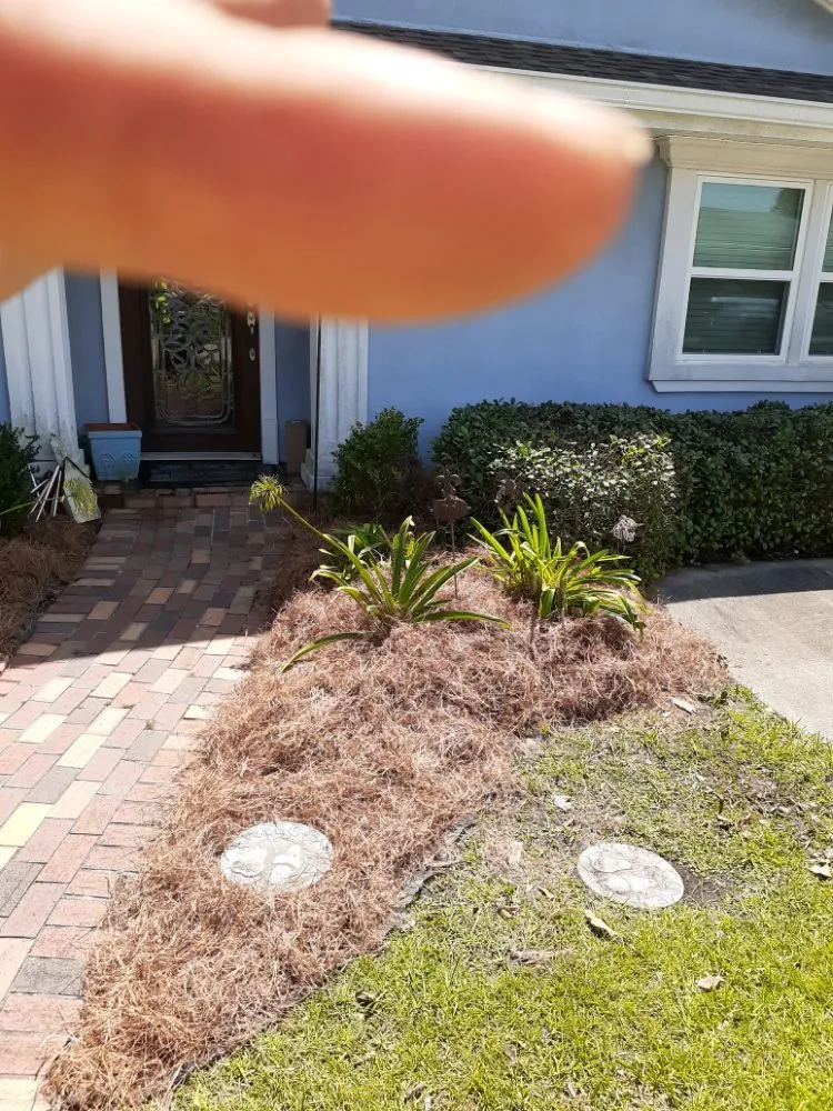 Reliable outdoor landscaping near you across Metairie, LA - Raul's Mobile Lawn Care and Landscaping