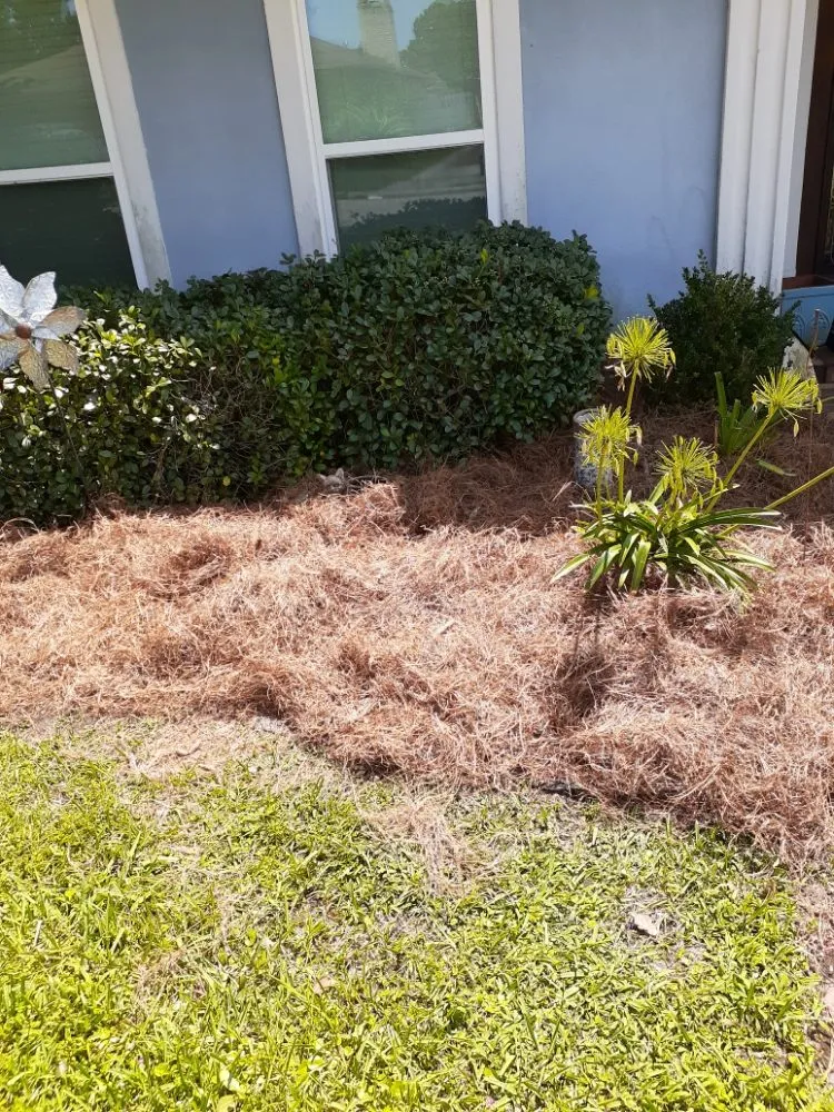 Expert yard maintenance for homes across Metairie, LA - Raul's Mobile Lawn Care and Landscaping
