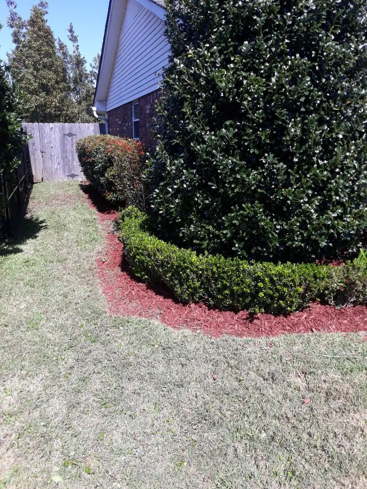 Local yard cleanup service in Metairie, LA - Raul's Mobile Lawn Care and Landscaping