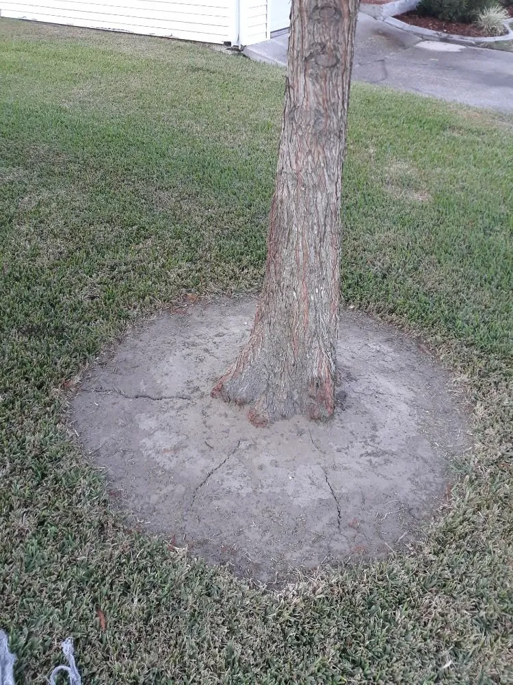 Professional landscaping services in Metairie, LA by Raul's Mobile Lawn Care and Landscaping