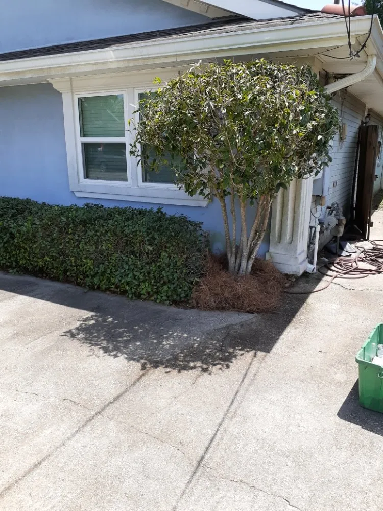 Custom landscape design in Metairie, LA by Raul's Mobile Lawn Care and Landscaping