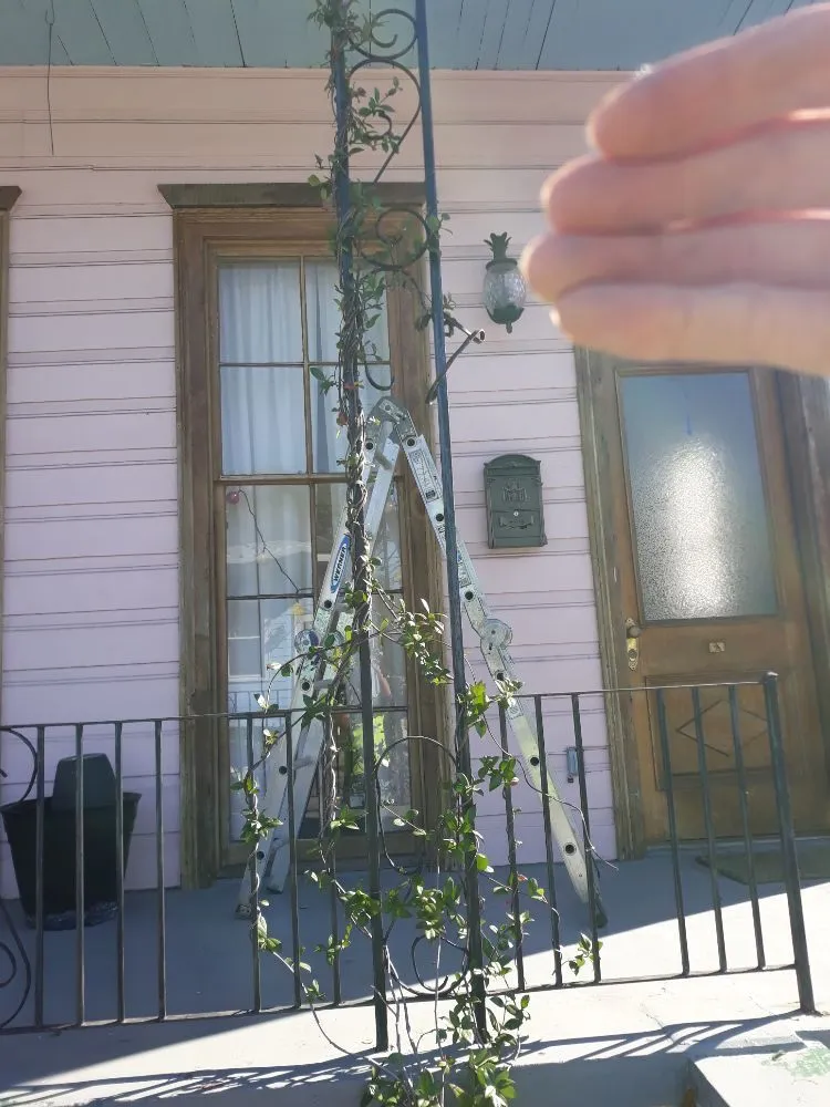 Custom yard maintenance in Metairie, LA by Raul's Mobile Lawn Care and Landscaping