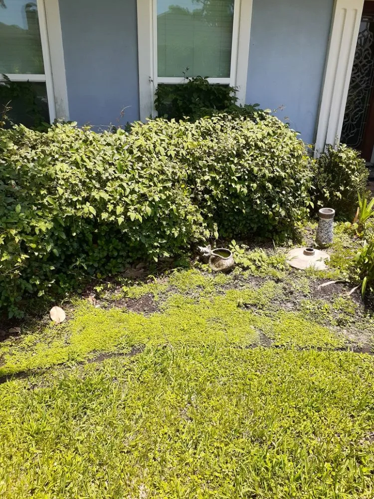 Custom landscape design experts serving Metairie, LA - Raul's Mobile Lawn Care and Landscaping