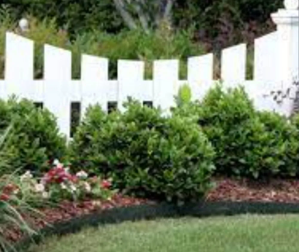 Custom yard maintenance in Phoenix, AZ - Rauls Multi Service