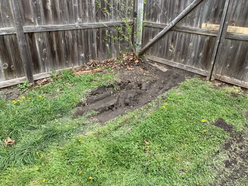 Affordable yard maintenance in Flat Rock, MI by Raupp Brothers Landscaping