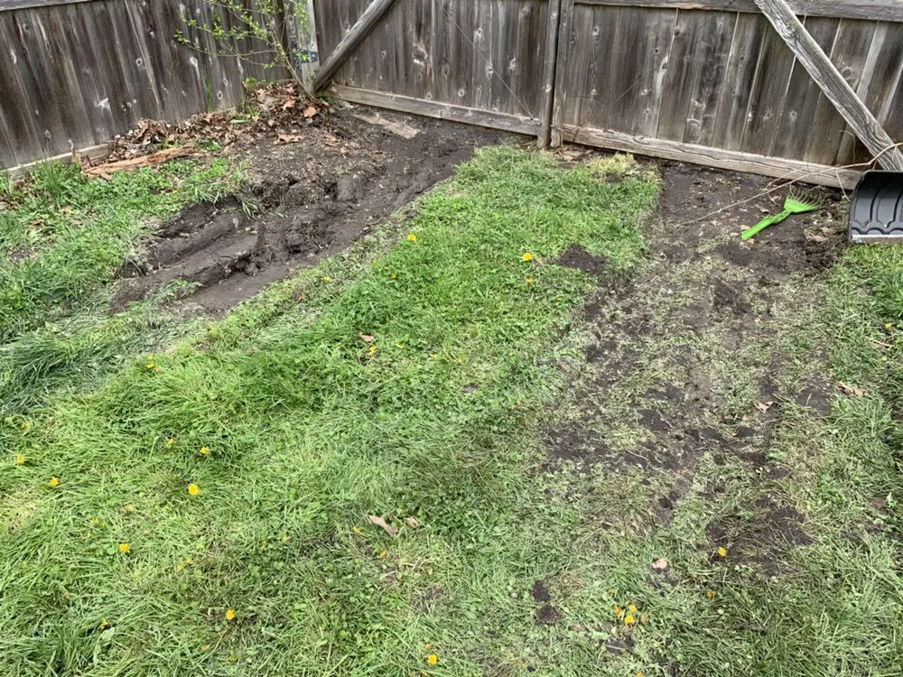 Expert yard maintenance for outdoor upgrades in Flat Rock, MI by Raupp Brothers Landscaping