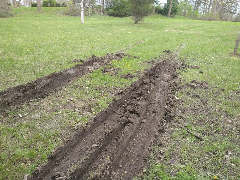 Professional yard cleanup service for year-round maintenance across Flat Rock, MI - Raupp Brothers Landscaping