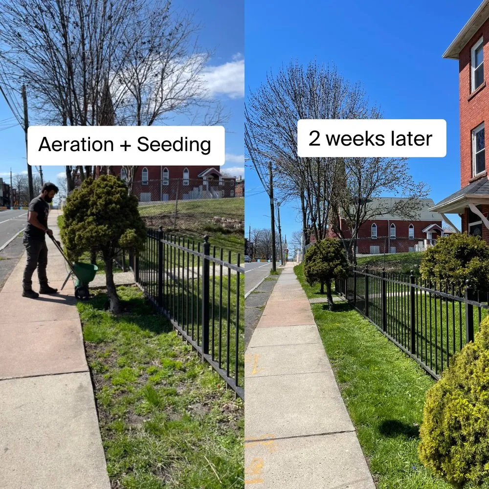 Top-rated landscape design experts serving West Hartford, CT - Raupp Landscape