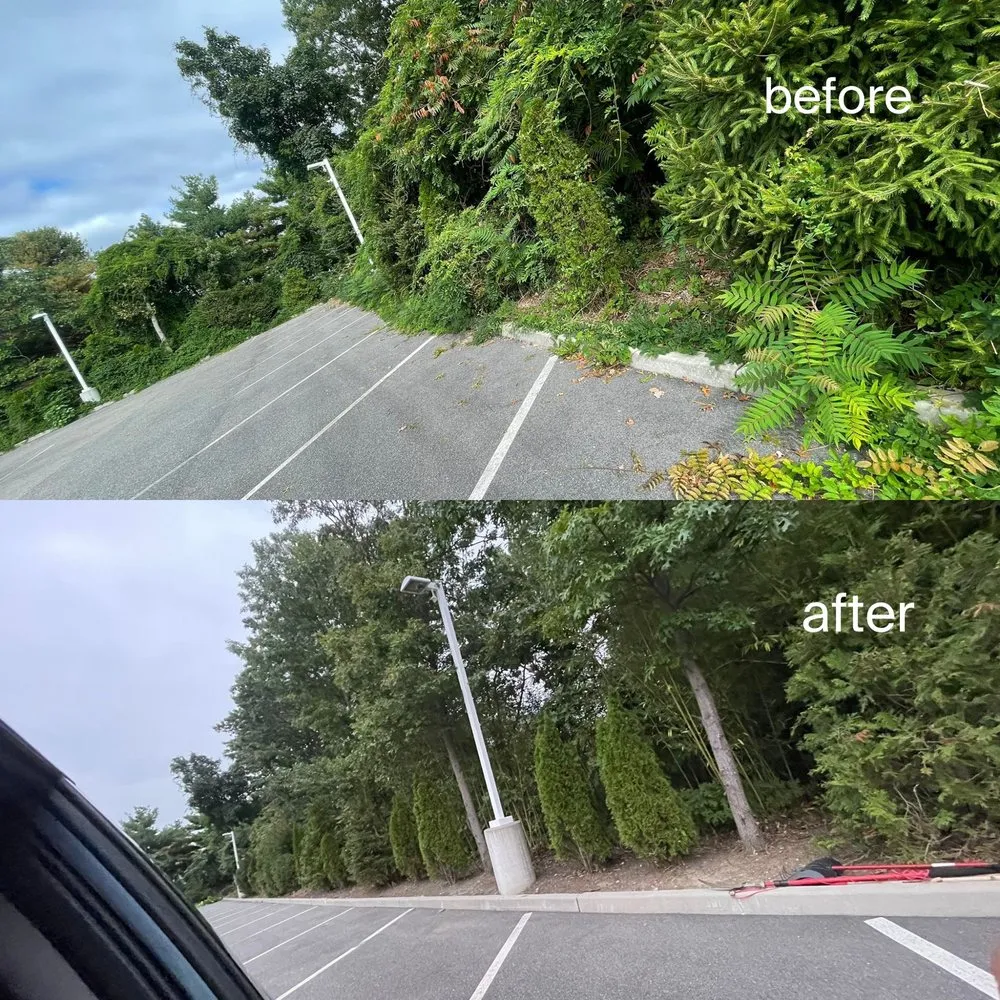 Top-rated landscape installation experts serving West Hartford, CT - Raupp Landscape