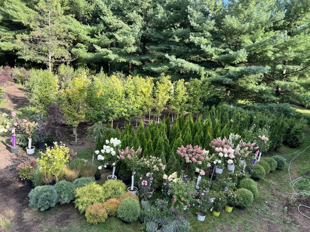 Custom landscaping services in Burlington, WI - Rausch Tree and Outdoor Services