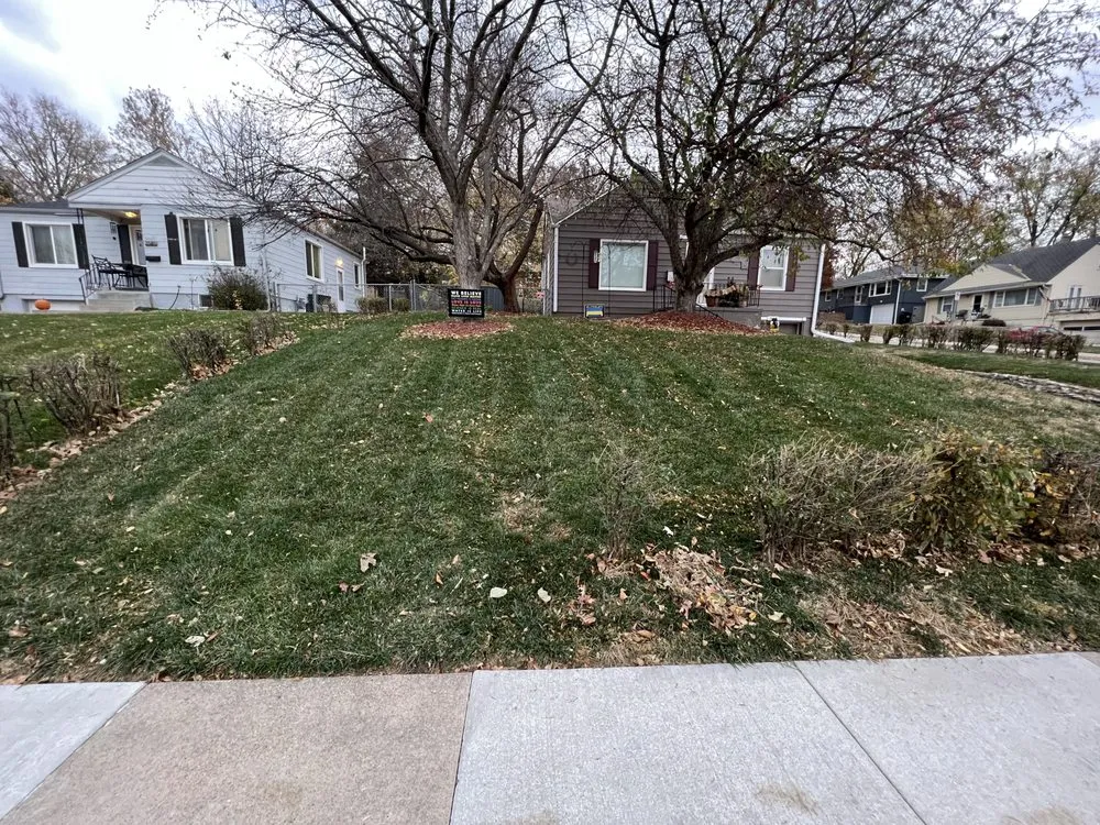 Trusted lawn care service for outdoor upgrades in Omaha, NE by Ravage LawnManators