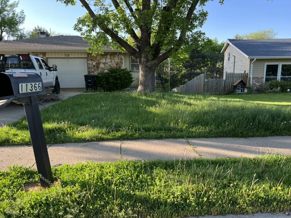 Affordable yard cleanup service experts serving Omaha, NE - Ravage LawnManators