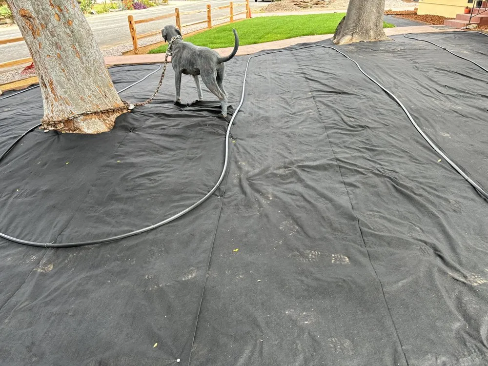 Reliable yard maintenance for outdoor upgrades across Lemon Grove, CA - Raven Landscaping