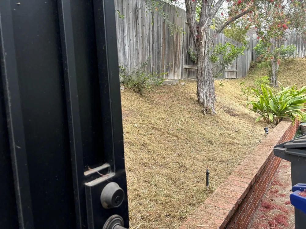 Professional yard maintenance experts serving Lemon Grove, CA - Raven Landscaping