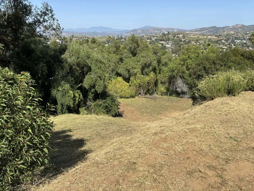 Affordable yard maintenance for year-round maintenance in Lemon Grove, CA by Raven Landscaping