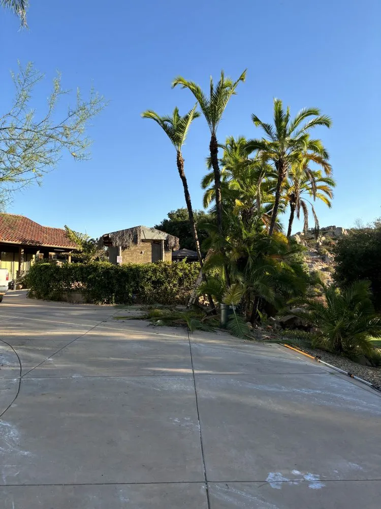 Top-rated landscape installation for outdoor upgrades across Lemon Grove, CA - Raven Landscaping