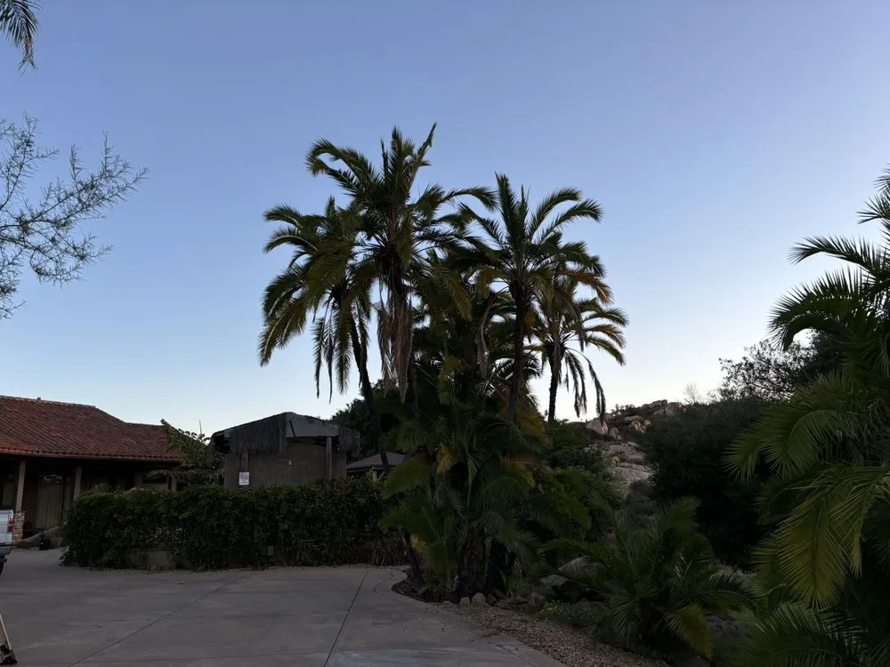 Custom landscape installation near you in Lemon Grove, CA by Raven Landscaping