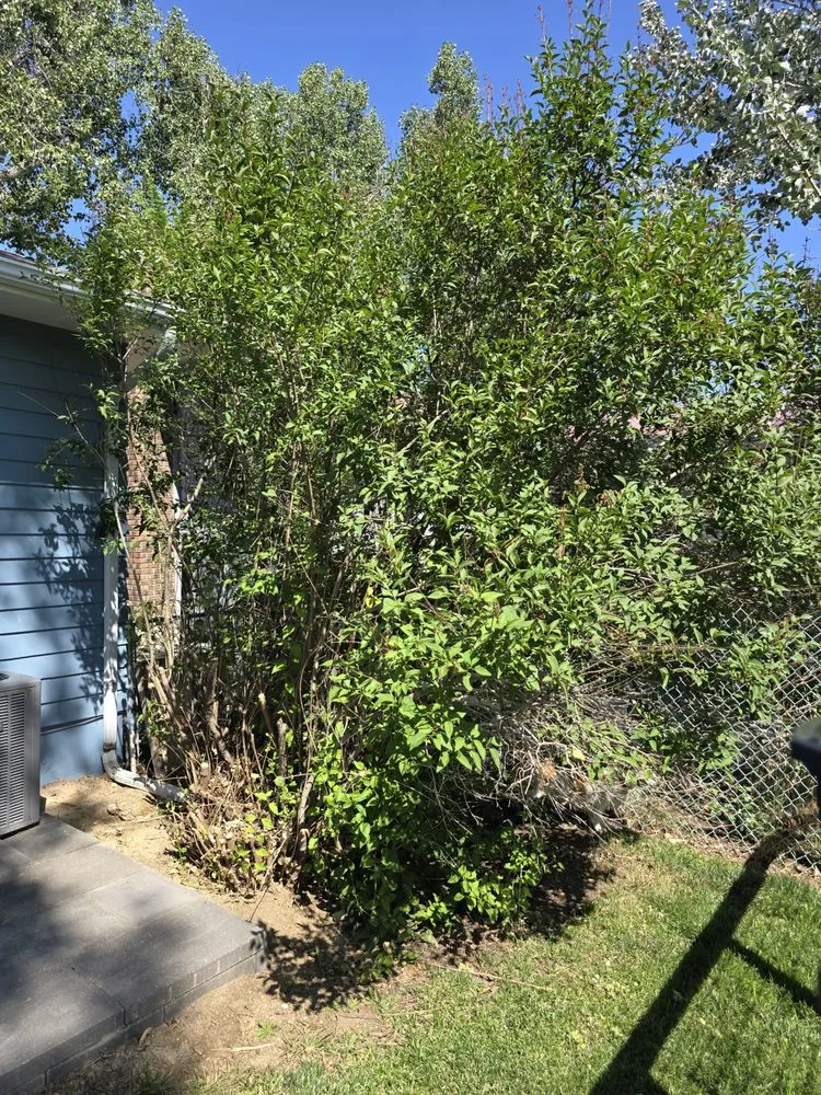 Custom garden landscaping experts serving Casper, WY - Raven Property Maintenance