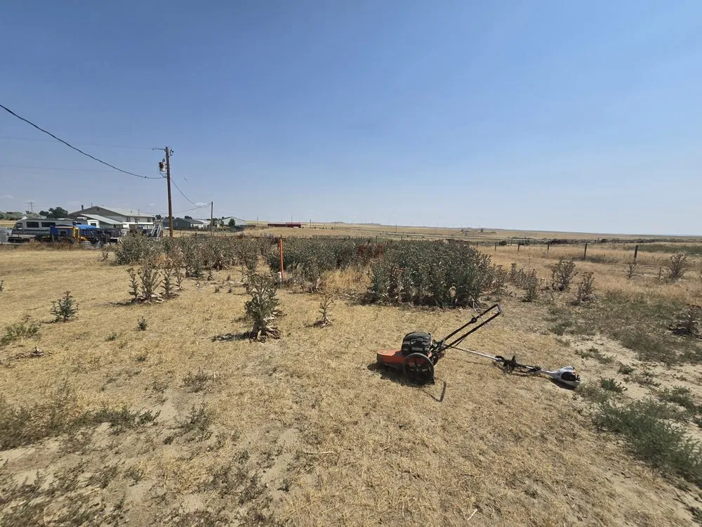 Expert garden landscaping in Casper, WY by Raven Property Maintenance