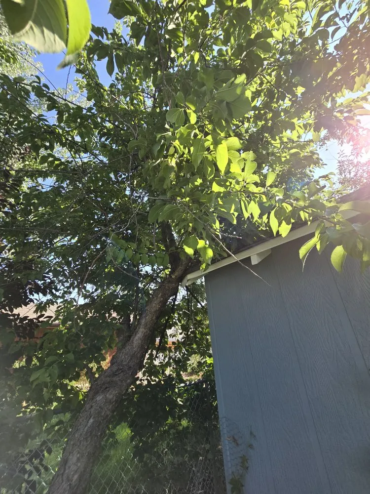 Custom residential landscaping experts serving Casper, WY - Raven Property Maintenance