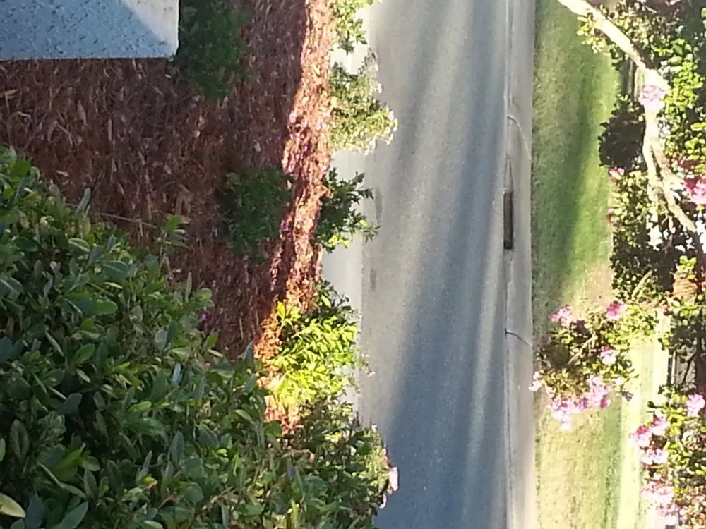 Affordable yard maintenance with custom design across Houston, TX - Ravenscourt Landscaping & Design