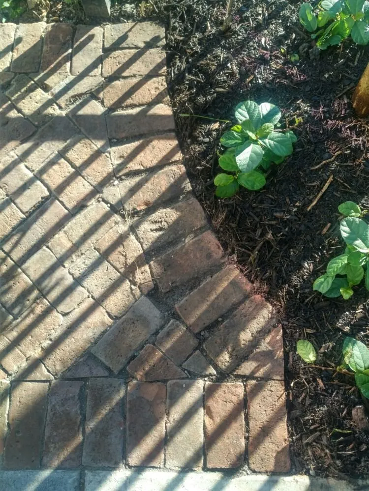 Custom lawn care service in Houston, TX by Ravenscourt Landscaping & Design