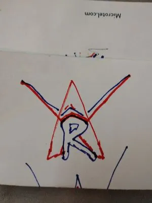 Raw Cleaning & Lawn Care Services Logo