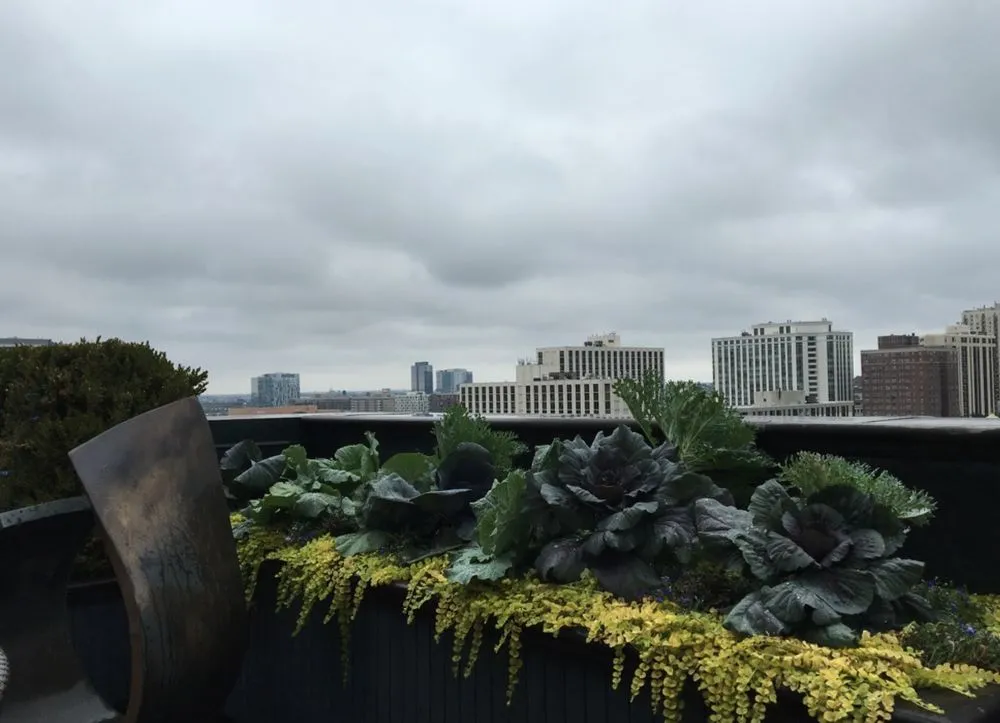 Trusted landscape installation in Chicago, IL - RAW Designs