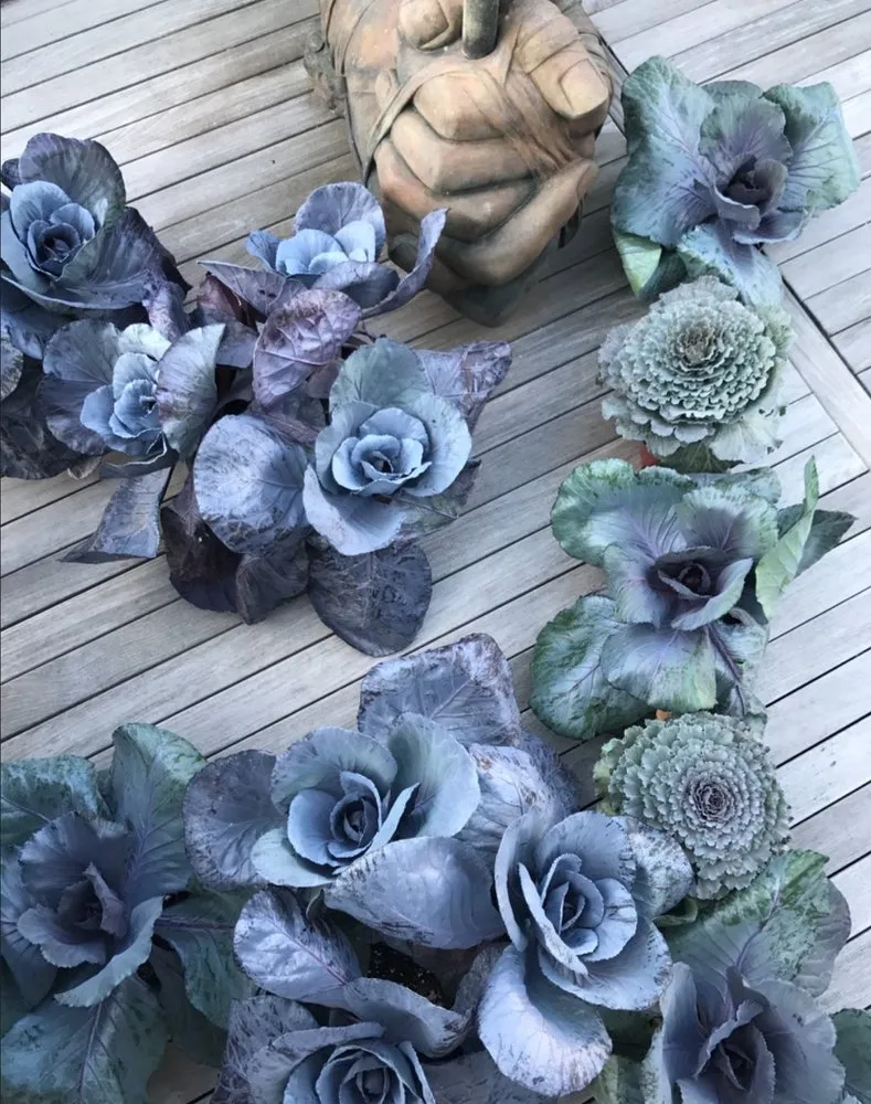 Custom landscaping services near you in Chicago, IL by RAW Designs