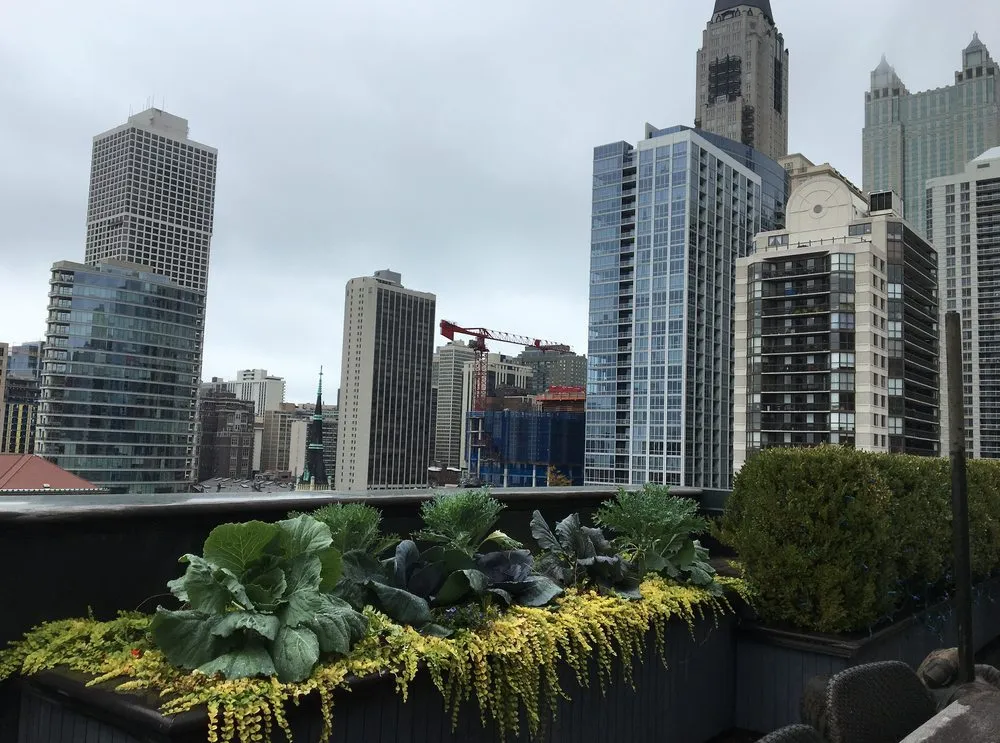 Expert outdoor landscaping for beautiful yards across Chicago, IL - RAW Designs