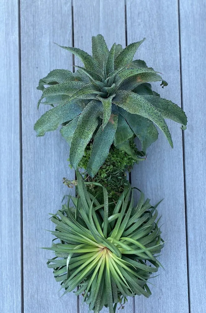 Affordable residential landscaping for outdoor upgrades in Chicago, IL by RAW Designs