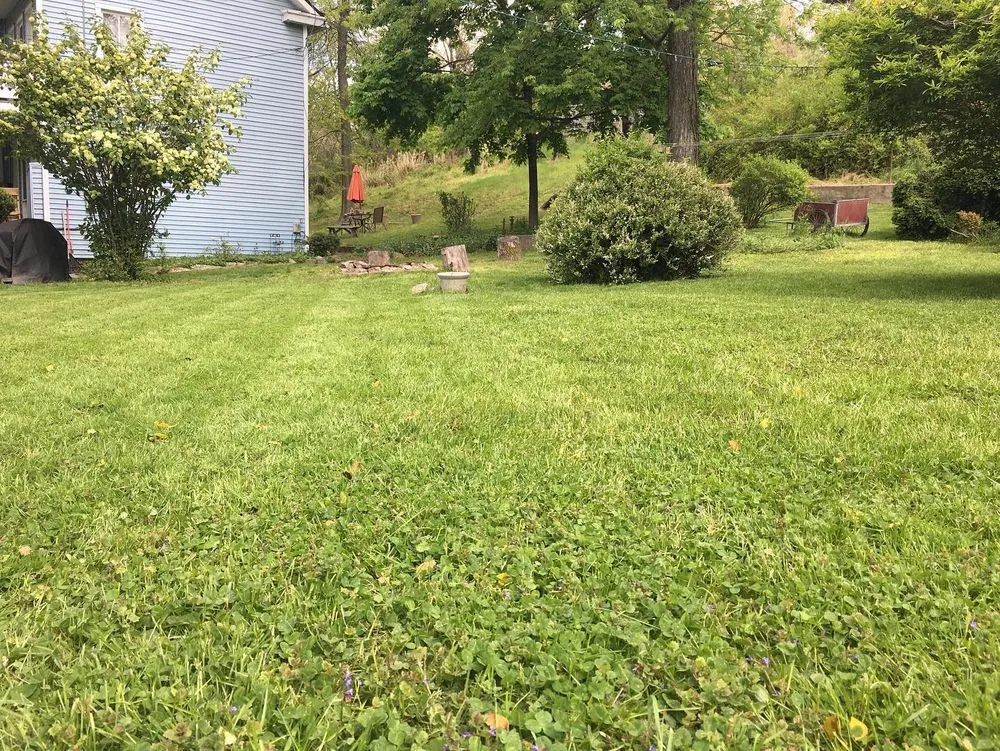 Reliable yard cleanup service in Springettsbury Township, PA - Rawcut Lawn Care