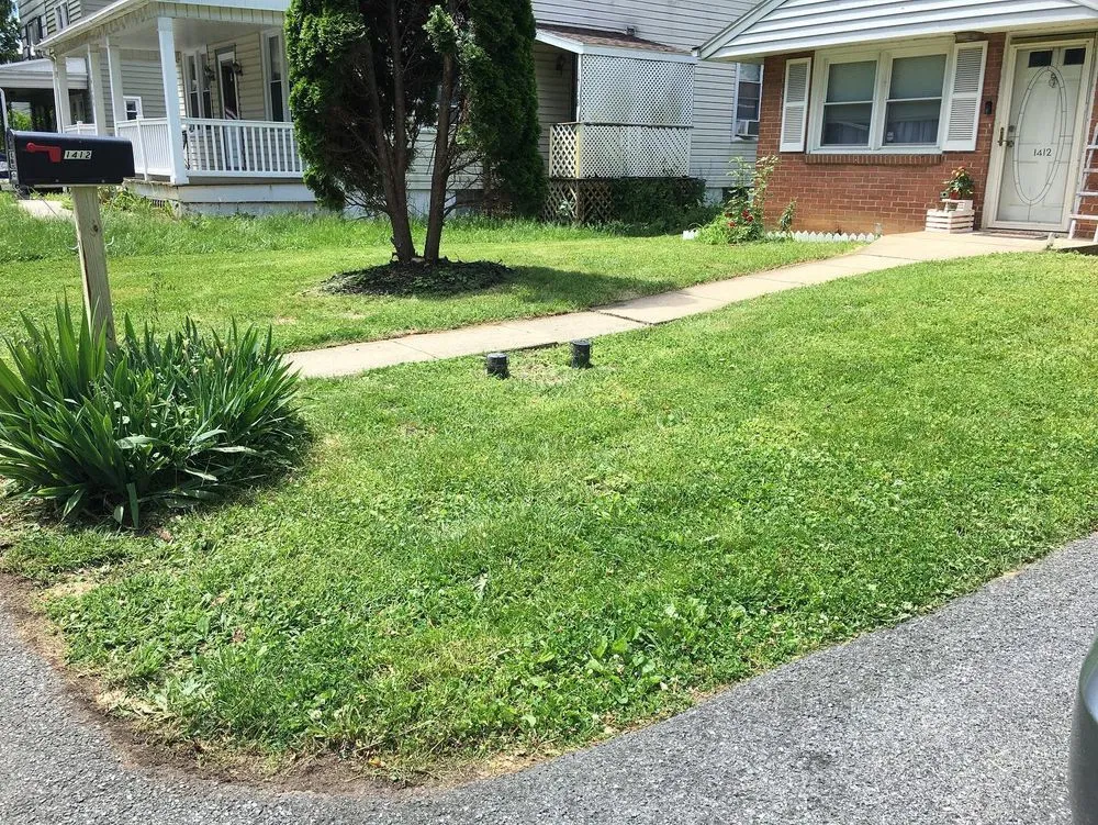 Trusted yard cleanup service in Springettsbury Township, PA - Rawcut Lawn Care