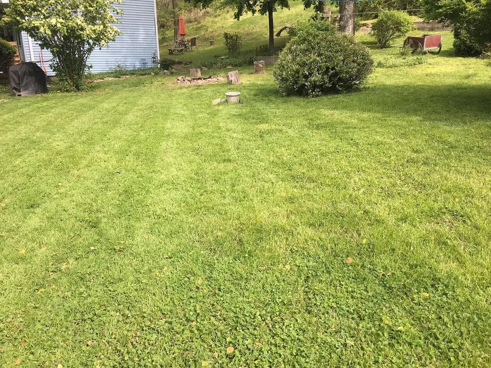 Expert lawn care service in Springettsbury Township, PA - Rawcut Lawn Care