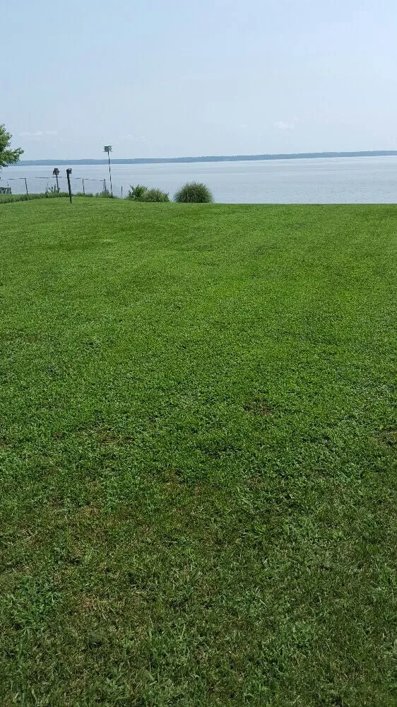 Expert landscaping services in Fredericksburg, VA by Rawlings And Sons Lawncare And Landscaping