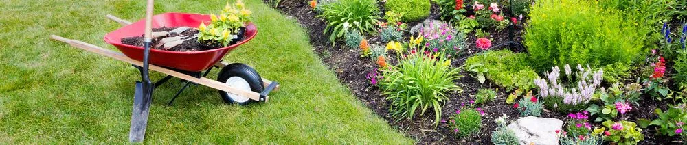 Top-rated landscape installation experts serving Newport News, VA - Rawman Ripp Landscaping