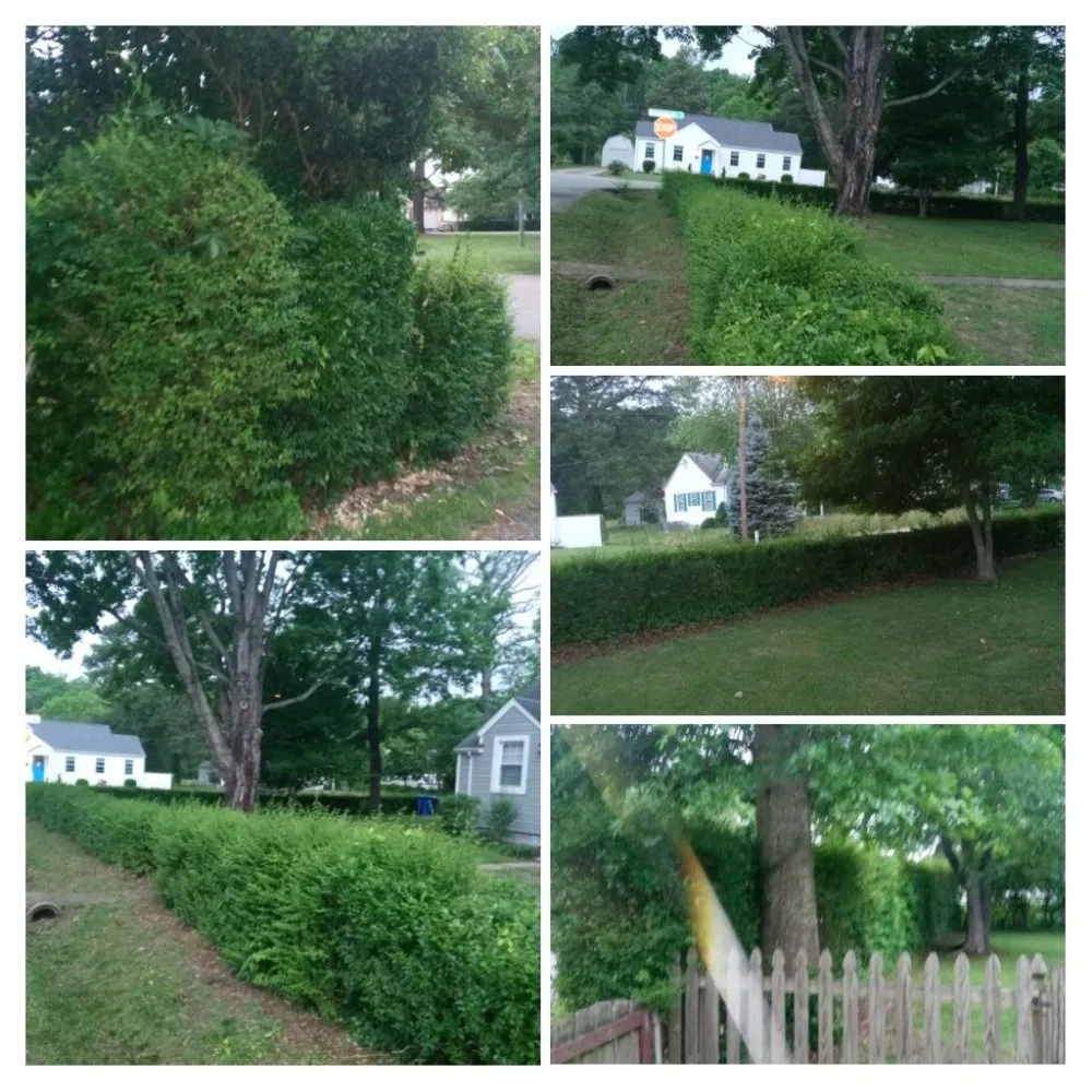 Trusted landscape design for homes in Newport News, VA by Rawman Ripp Landscaping