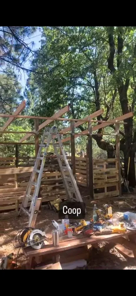 Reliable yard cleanup service near you in Arcata, CA by Rawsuns' Landscaping