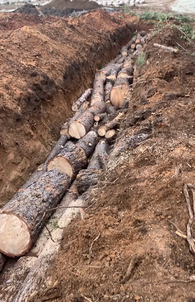 Reliable landscape installation for homes in Arcata, CA by Rawsuns' Landscaping