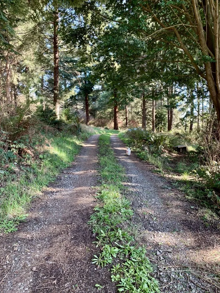 Trusted yard maintenance with custom design across Arcata, CA - Rawsuns' Landscaping