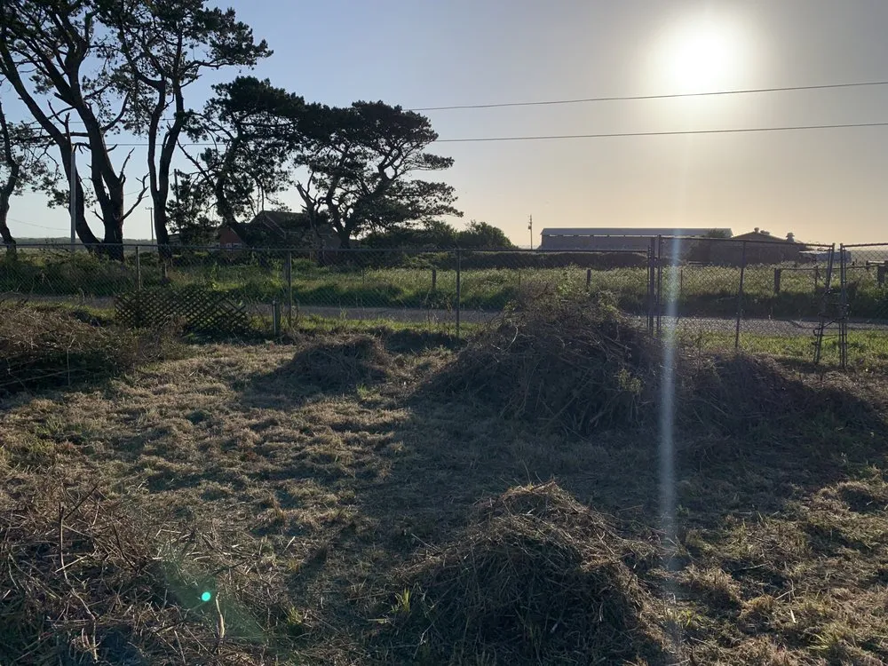 Local lawn mowing service with custom design in Arcata, CA by Rawsuns' Landscaping