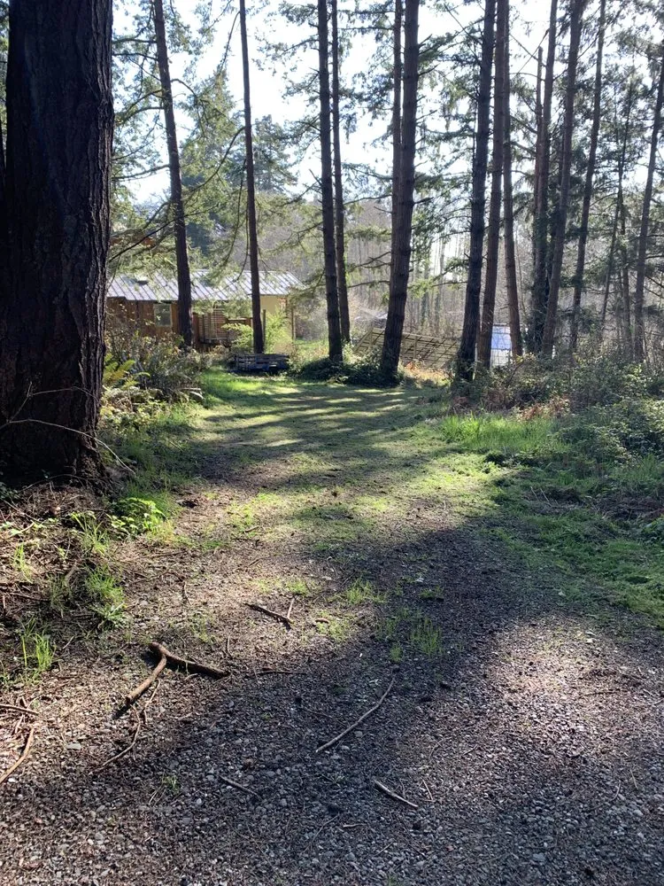 Professional landscape installation in Arcata, CA - Rawsuns' Landscaping