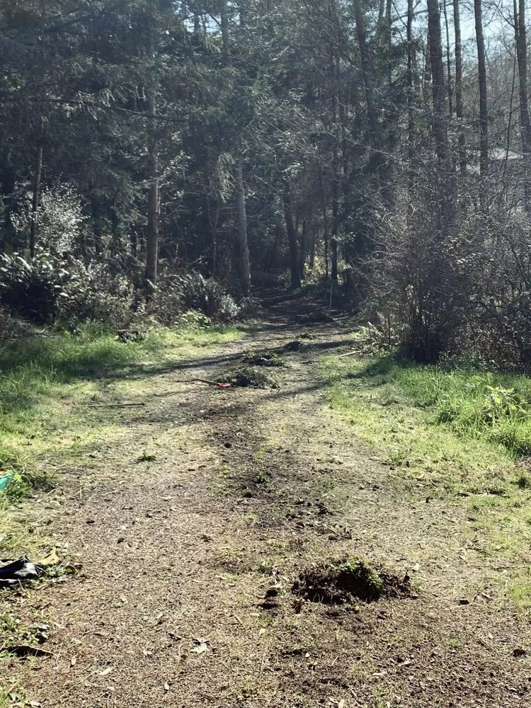 Custom yard maintenance for homes in Arcata, CA by Rawsuns' Landscaping