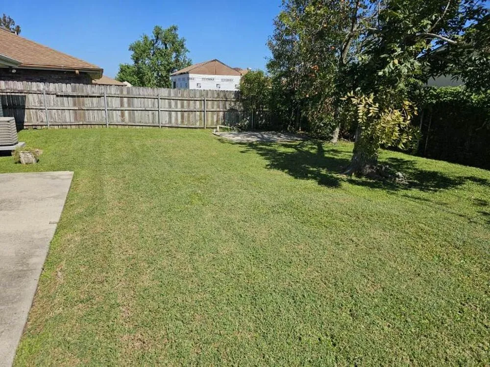 Reliable yard maintenance experts serving New Orleans, LA - Ray & Son's Lawn Care & Pressure Washing