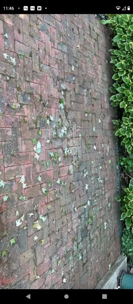 Expert landscaping services near you across Floyds Knobs, IN - Ray and Kay's Pressure Washing and Lawn Care