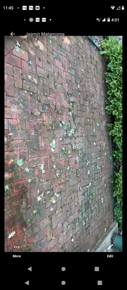 Trusted outdoor landscaping in Floyds Knobs, IN - Ray and Kay's Pressure Washing and Lawn Care