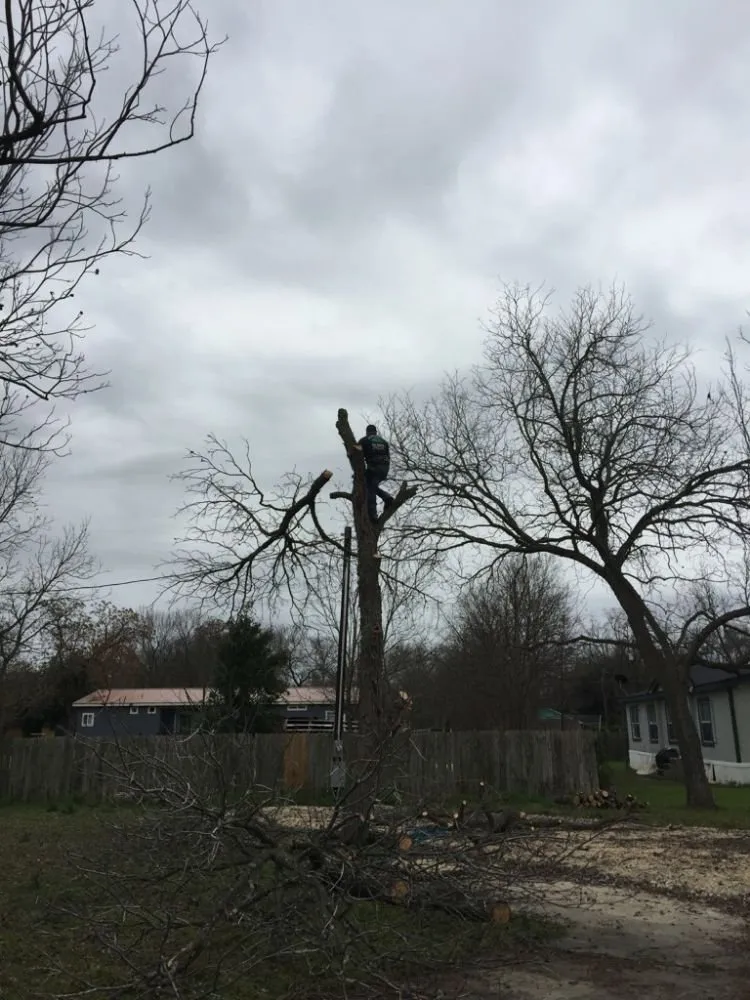 Affordable landscape design in Kyle, TX - Ray and Sons Landscaping