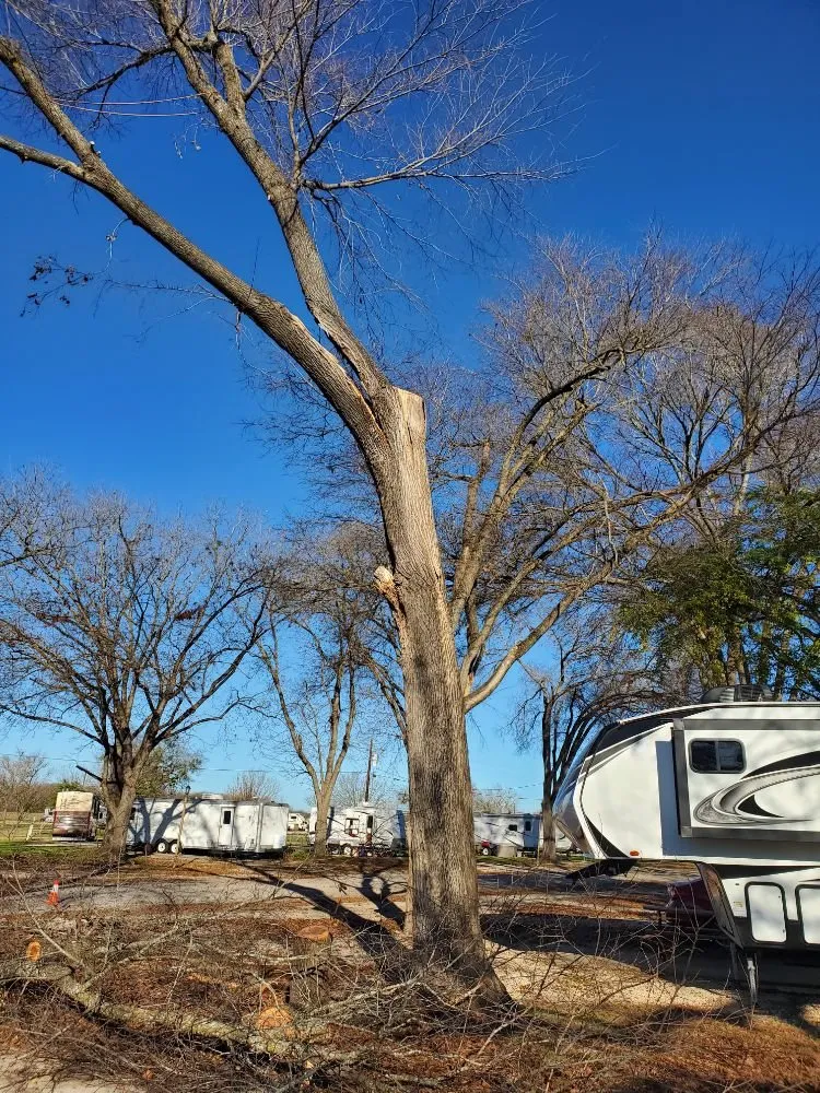 Trusted yard cleanup service experts serving Kyle, TX - Ray and Sons Landscaping