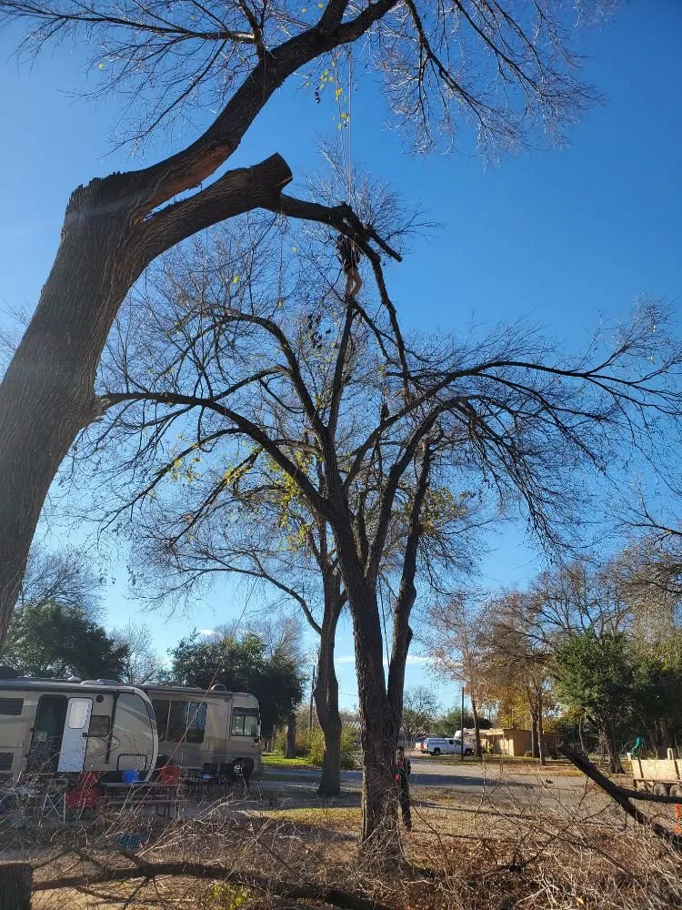 Reliable lawn mowing service in Kyle, TX - Ray and Sons Landscaping