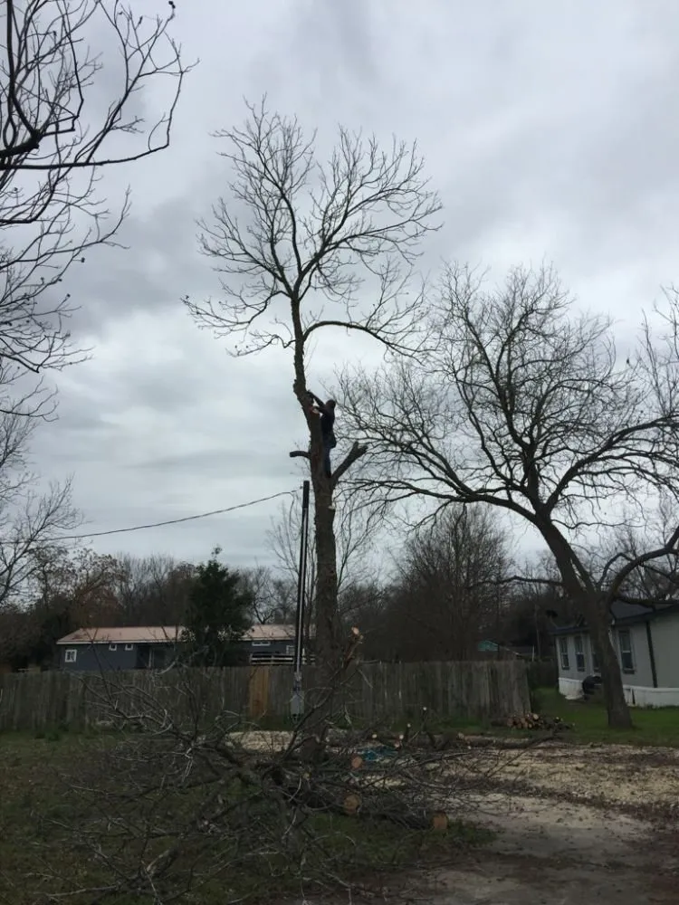 Reliable outdoor landscaping in Kyle, TX by Ray and Sons Landscaping